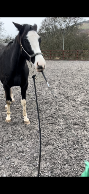 IMG_8435.PNG IMG_8435.PNG