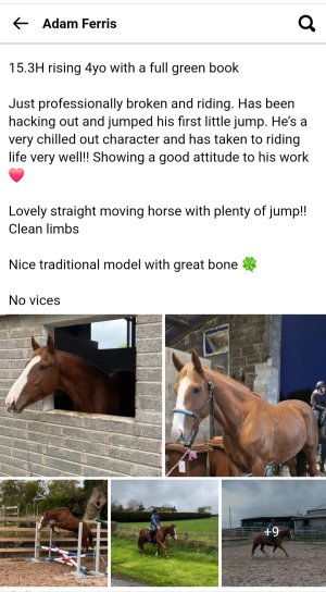 Screenshot_20241110_105819_Samsung Internet.jpg