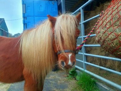 Screenshot_20241110_201535_Gallery.jpg Screenshot_20241110_201535_Gallery.jpg