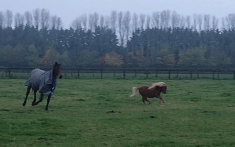 Screenshot_20241110_161600_Gallery.jpg Screenshot_20241110_161600_Gallery.jpg