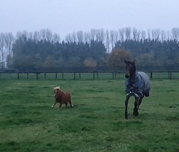 Screenshot_20241110_161327_Gallery.jpg Screenshot_20241110_161327_Gallery.jpg