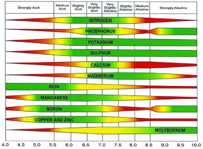 F813066B-C055-4EDF-8B9C-79A446653530.png F813066B-C055-4EDF-8B9C-79A446653530.png