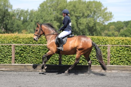 CHA_0152{SAT 29TH_-_Outside Arena 3_-_Arena 3.jpg