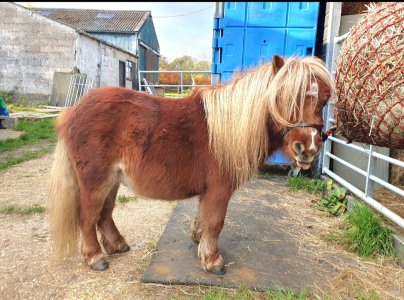 Screenshot_20241115_150312_Gallery.jpg Screenshot_20241115_150312_Gallery.jpg