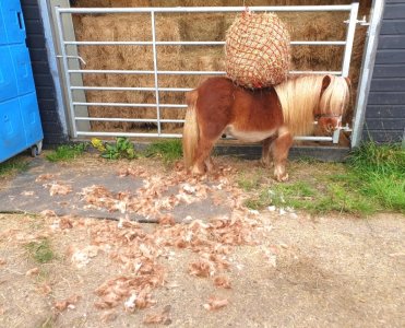 Screenshot_20241115_150251_Gallery.jpg Screenshot_20241115_150251_Gallery.jpg