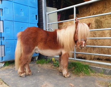 Screenshot_20241115_150220_Gallery.jpg Screenshot_20241115_150220_Gallery.jpg