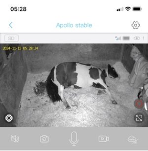 IMG_6073.jpeg IMG_6073.jpeg