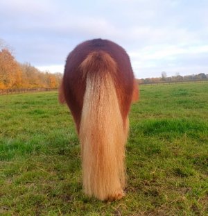 Screenshot_20241116_094639_Gallery.jpg Screenshot_20241116_094639_Gallery.jpg