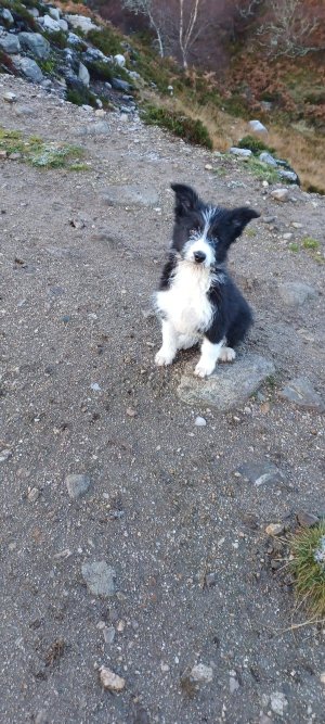 IMG-20241117-WA0002_compress24.jpg IMG-20241117-WA0002_compress24.jpg