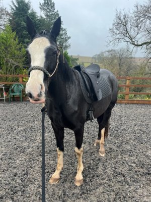 E665140E-9131-4B69-B350-E110A12B59DD.jpeg E665140E-9131-4B69-B350-E110A12B59DD.jpeg