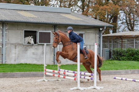 Beans2.jpg Beans2.jpg