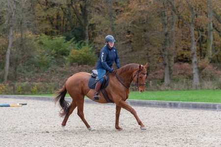 Beans1.jpg Beans1.jpg