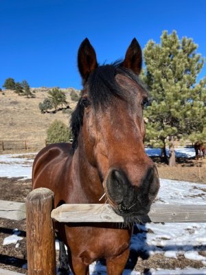 IMG_4073.jpeg IMG_4073.jpeg