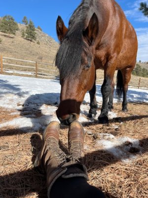 IMG_4062.jpeg IMG_4062.jpeg