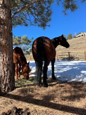 IMG_4063.jpeg IMG_4063.jpeg