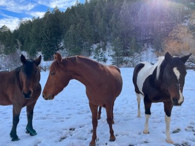 IMG_4033.jpeg IMG_4033.jpeg