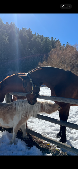 IMG_3968.png IMG_3968.png