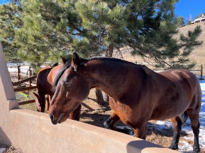 IMG_3962.jpeg IMG_3962.jpeg