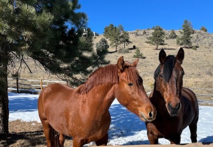 IMG_3953.jpeg IMG_3953.jpeg