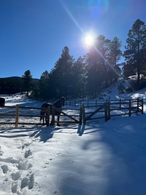 IMG_3854.jpeg IMG_3854.jpeg