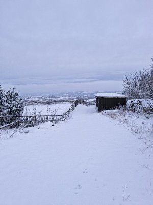 20241119_072200.jpg 20241119_072200.jpg