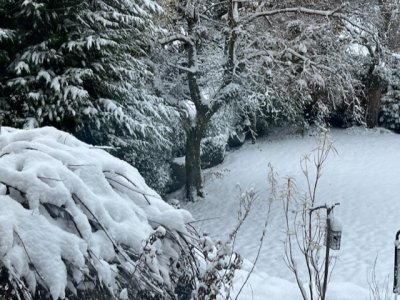 E310EA0D-D40F-4082-B17B-22BEF78EC755.jpeg E310EA0D-D40F-4082-B17B-22BEF78EC755.jpeg