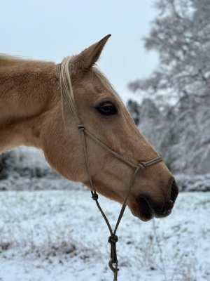 IMG_6802.jpeg IMG_6802.jpeg