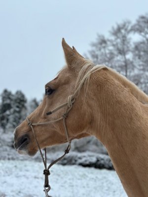 IMG_6811.jpeg IMG_6811.jpeg