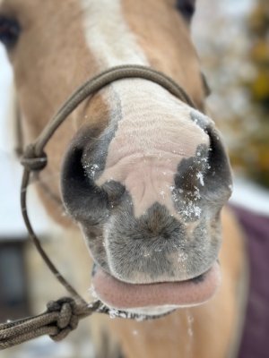 IMG_6845.jpeg IMG_6845.jpeg