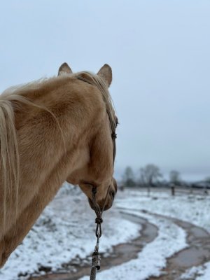 IMG_6779.jpeg IMG_6779.jpeg