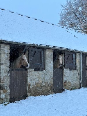 IMG_6708.jpeg IMG_6708.jpeg