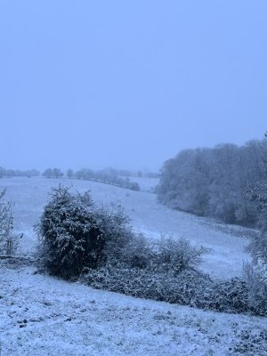 IMG_6637.jpeg IMG_6637.jpeg