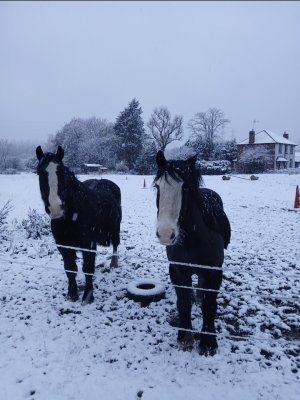 1000007929.jpg 1000007929.jpg