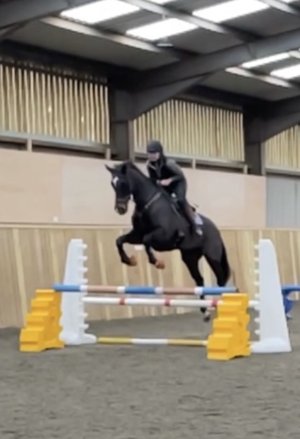 IMG_3202.jpg IMG_3202.jpg