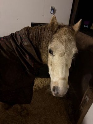 IMG_0505.JPG IMG_0505.JPG