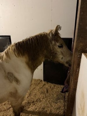 IMG_0529.JPG IMG_0529.JPG