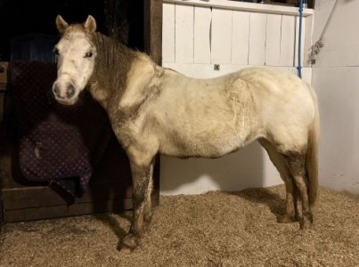 IMG_0520.JPG IMG_0520.JPG