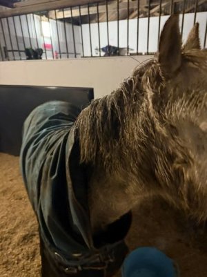 IMG_0468.JPG IMG_0468.JPG