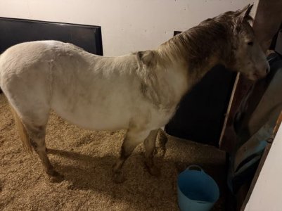 IMG_0481.JPG IMG_0481.JPG