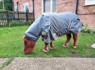 Screenshot_20240929_181430_Gallery.jpg Screenshot_20240929_181430_Gallery.jpg