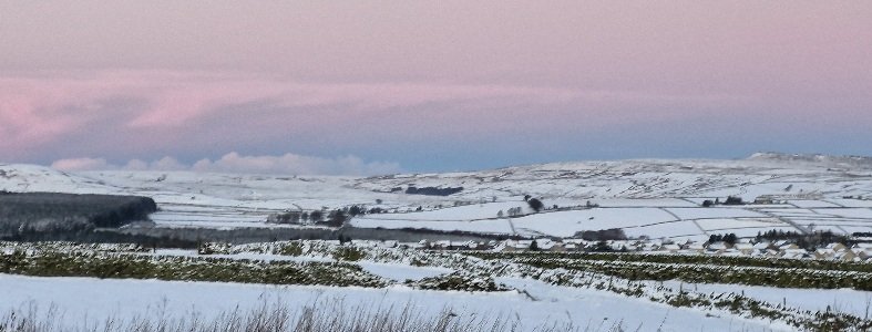 20241120_073723.jpg 20241120_073723.jpg