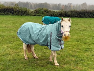 IMG_0604.JPG IMG_0604.JPG