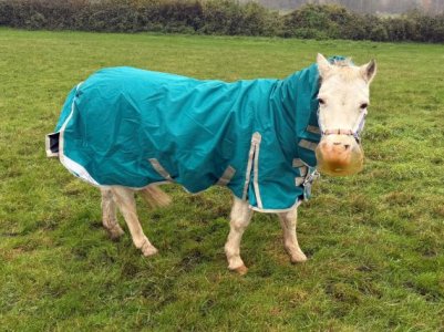 IMG_0610.JPG IMG_0610.JPG