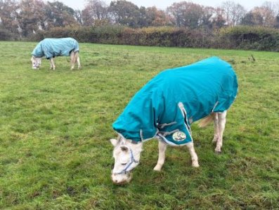 IMG_0615.JPG IMG_0615.JPG