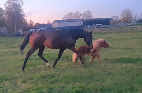 Screenshot_20241123_125208_Gallery.jpg Screenshot_20241123_125208_Gallery.jpg