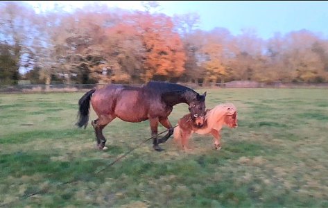 Screenshot_20241123_125340_Gallery.jpg Screenshot_20241123_125340_Gallery.jpg