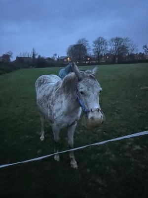 PHOTO-2024-11-23-16-26-27.jpg PHOTO-2024-11-23-16-26-27.jpg