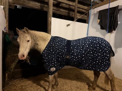 IMG_0628.JPG IMG_0628.JPG