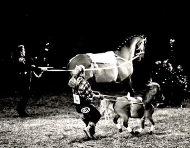 1732443421681.png 1732443421681.png