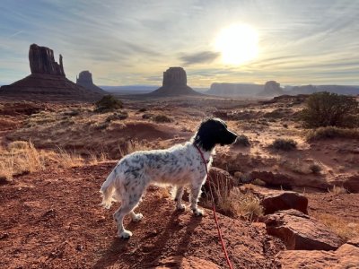 IMG_4373.jpeg IMG_4373.jpeg